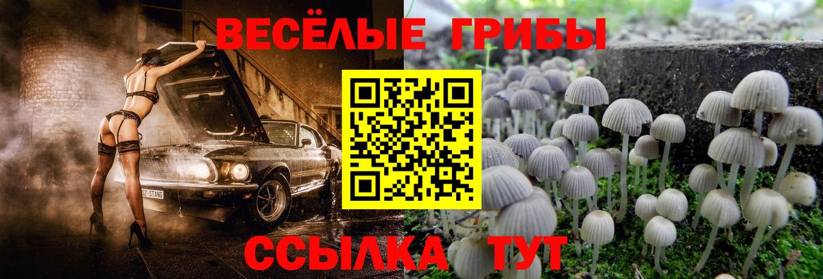 Светлоград  Галлюциногенные грибы MAGIC MUSHROOMS  Вход с VPN 
